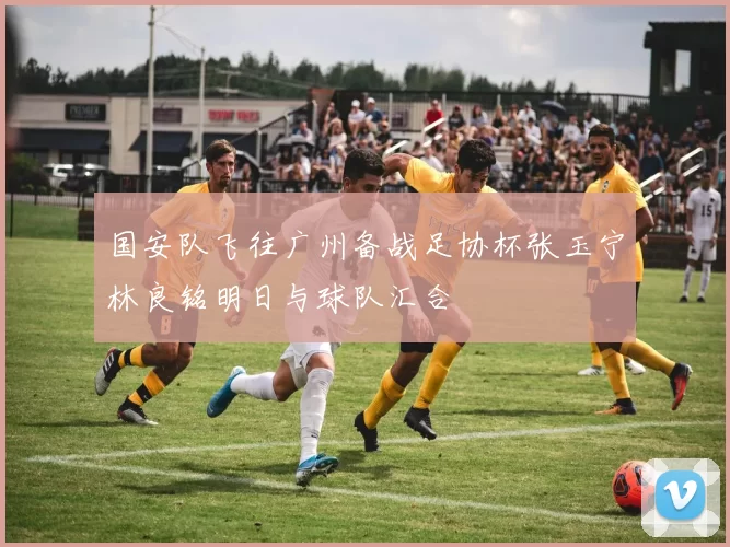 国安队飞往广州备战足协杯张玉宁林良铭明日与球队汇合